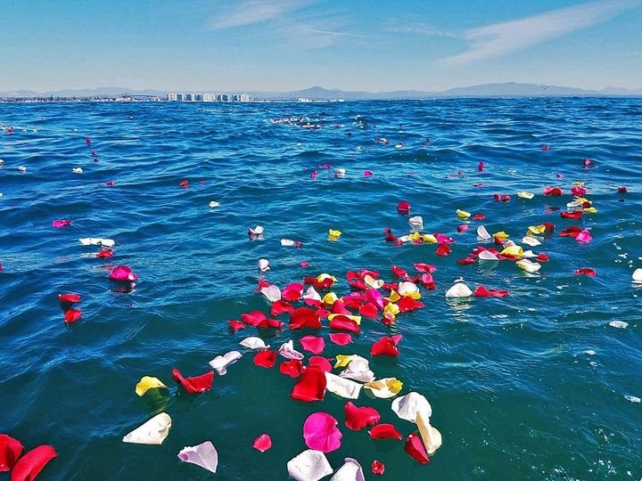 Sea Trek burial at sea service with a peaceful ocean setting